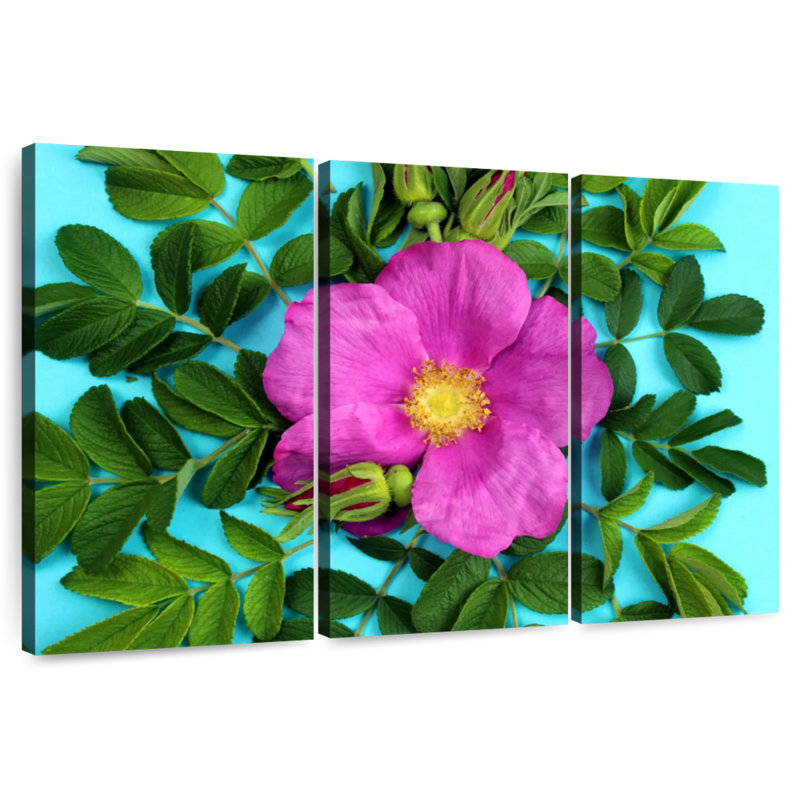 Rose Harnek Magenta, H 42 po x l 65 po