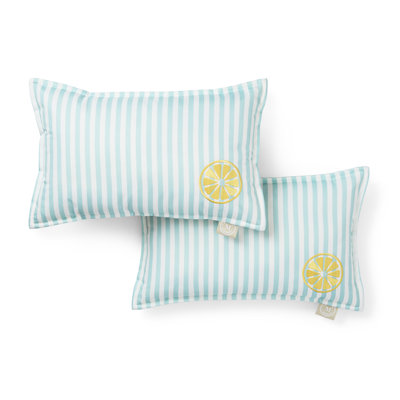 Ensemble de 2 coussins décoratifs MARTHA STEWART Spring May