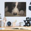 «Border Collie Love» par John Silver-1730437599