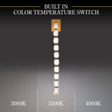 Seduction LED Armed Sconce