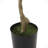 59.1'' Faux Bonsai Tree