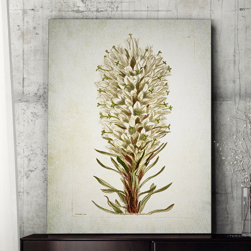 " Botanical Plate VIIII " Graphic Art Print, 32" H x 48" W x 1.5" D
