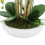 Orchid Arrangement in Round Fiberstone Pot-1233830117