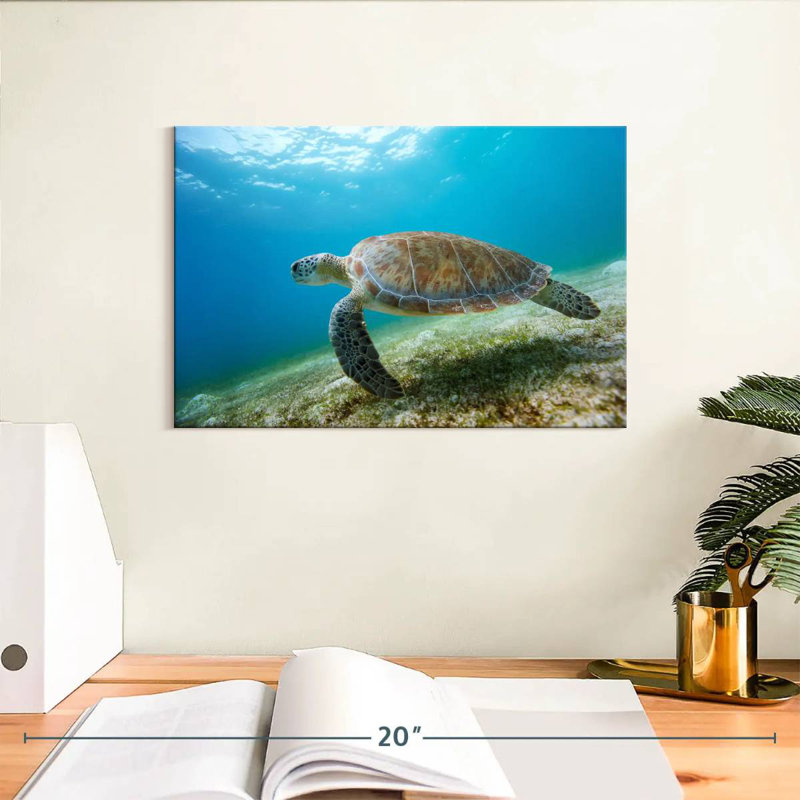 Brampt Hawksbill Turtle In Motion, 8" H x 12" W