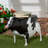 Table de vache en métal recyclé avec rangement
