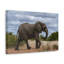 No Frame Print on Canvas