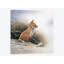 «Little Fox», impression sur toile-29479853-73647980-73647985