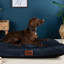 Slumberdown Paws for Slumber Raised Padded Dog Bed – Comfortable, Supportive & Durable Pet Bed for All Breeds-1383538065-1386066562