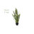 Bleecker Artificial Snake Plant in Pot-1250889569-1250889570