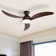 Nicola 52" 3 - Blade LED Standard Ceiling Fan with Remote Control and Light Kit Included
