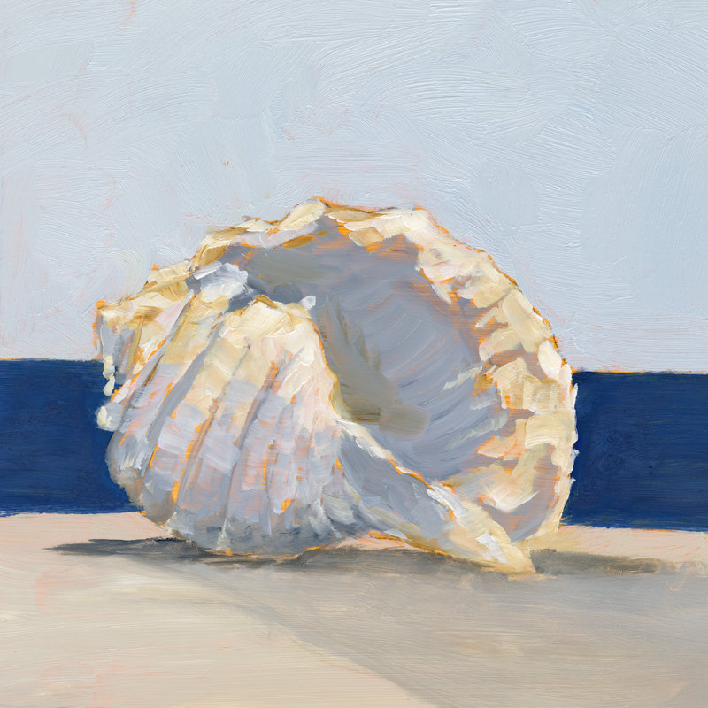 Coquillage près de la côte II, H 12 po x l 12 po x P 1,25 po