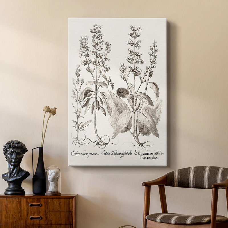 Sépia Besler Botanicals III - galerie sur mesure Cavas