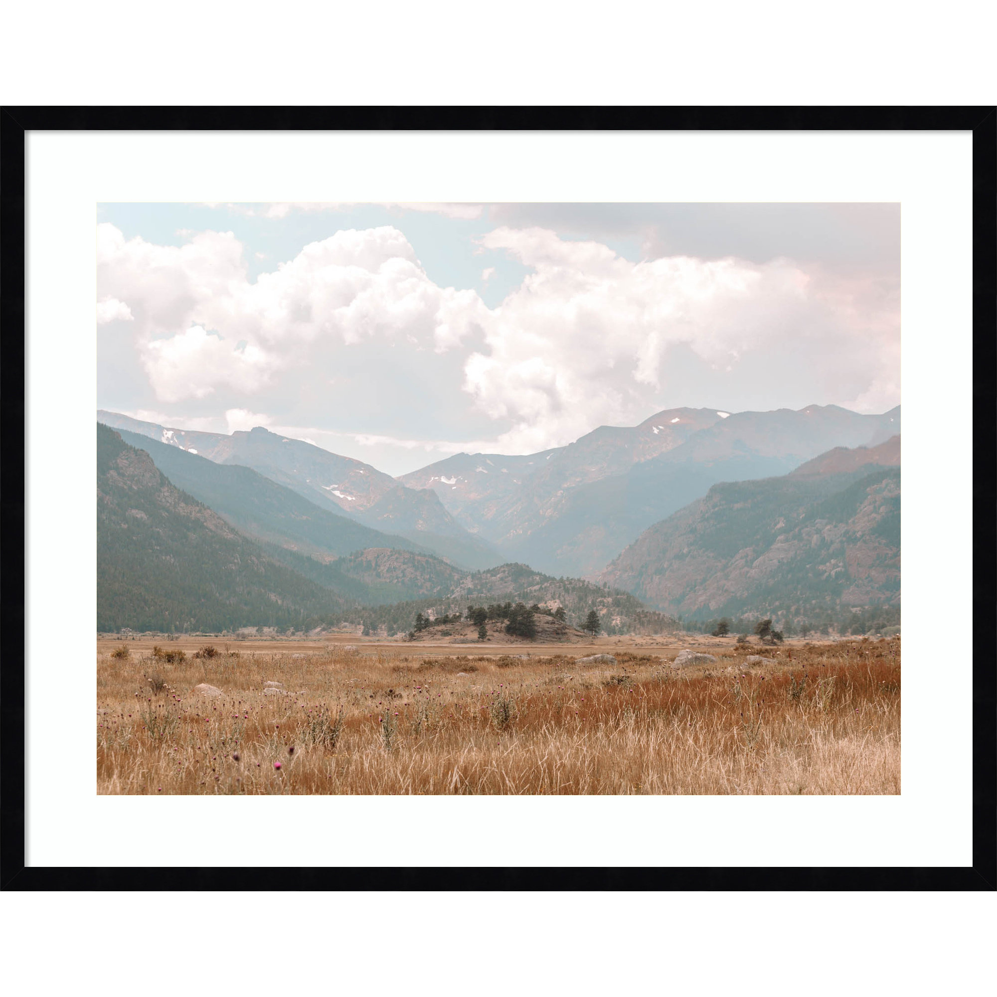 Wanderings by Alicia Abla, 26" H x 33" W x 1" D, Black
