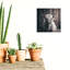 «Kathern Baby Highland Cow» par Wynwood Studio-989810036