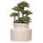 11'' Faux Succulent in Ceramic Pot