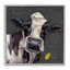 «Vache avec marguerite jaune» par Stupell Industries