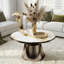 Coffee Table-508476049