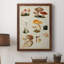 Mushroom Species IV, peinture sur toile encadrée-88440595-88440597
