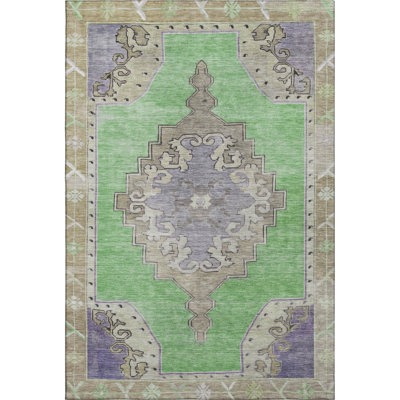 Premium Machine Washable Lubbers AMF1731 Global Rug