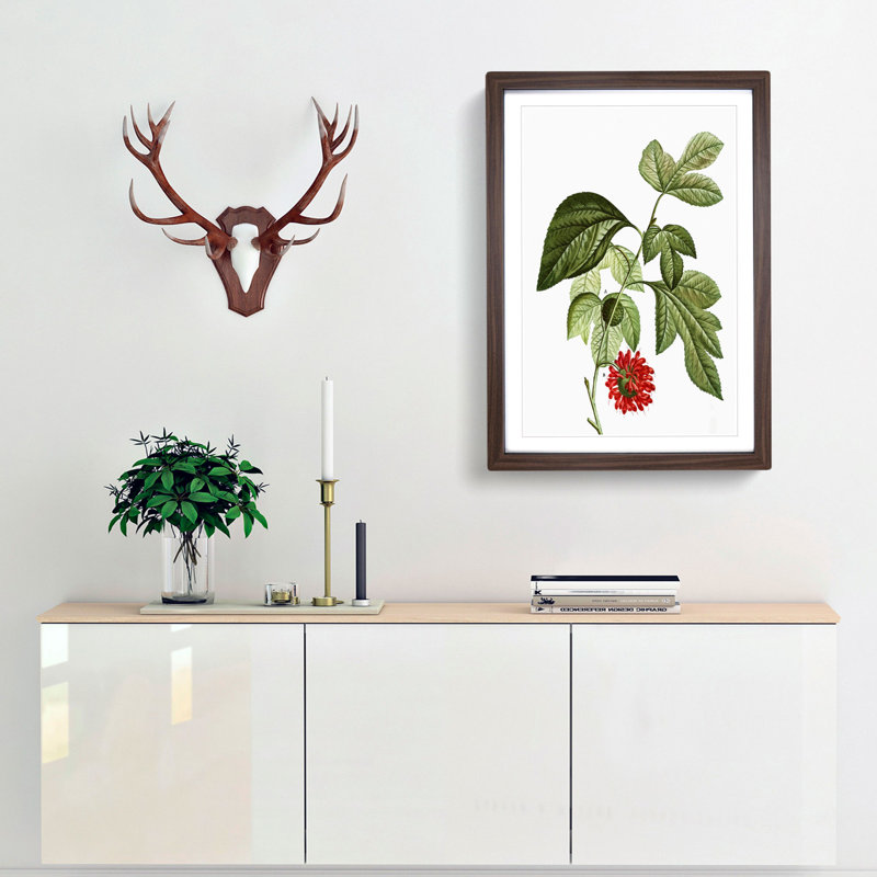 Red Mulberry Tree by Pierre-Joseph Redoute - Picture Frame Painting Print, 65cm H x 48cm W x 2cm D, Walnut Framed