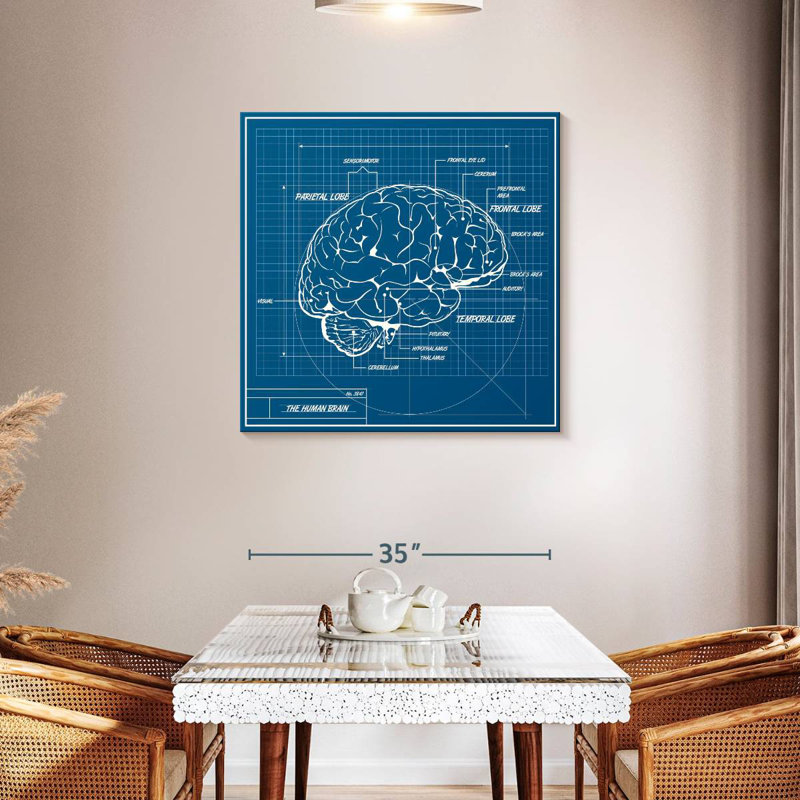 Keiri Human Brain Blueprint, 36" H x 36" W