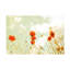 Art sur toile Coquelicots et ciel Aledanda-105717881