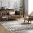 Kleist Southwestern Off White/Dark Charcoal Area Rug-957641279