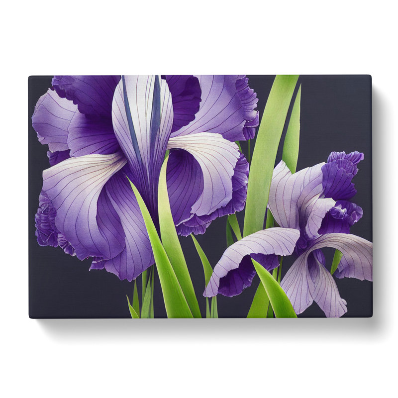 Engaging Iris Flowers - Wrapped Canvas, 50cm H x 76cm W x 3cm D