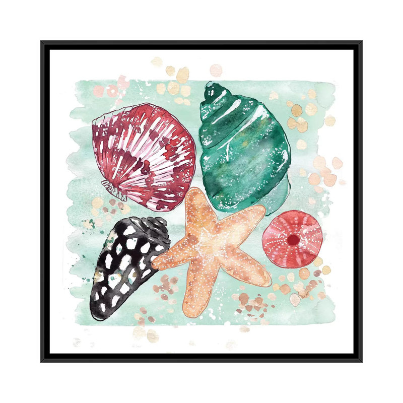 Beachcomber - Shell Medley by Sara Berrenson - Painting on Canvas, 45.72 cm H x 45.72 cm W, Black Framed