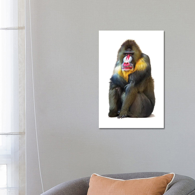 Mandrill Baboon Isolated On White by Susan Richey - Wrapped Canvas Gallery-Wrapped Canvas Giclée