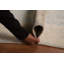 Tapis turc Oushak 5 x 16