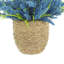 Heather dans un pot de paille-1477215126