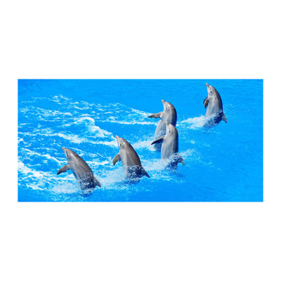 Dolphins - Print