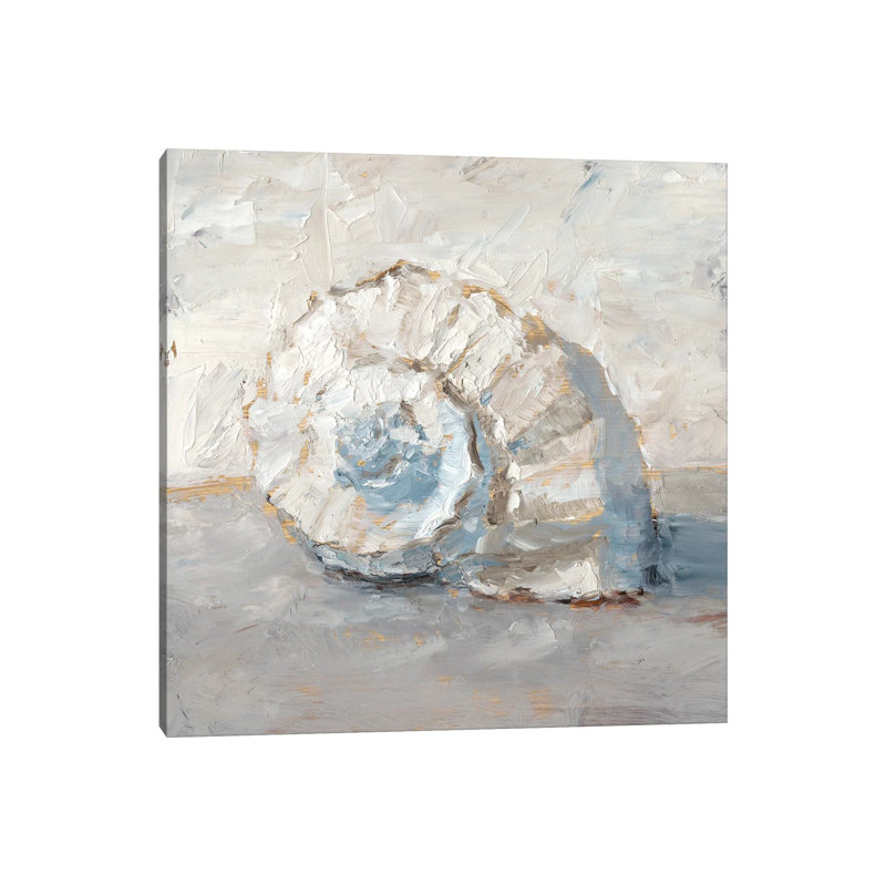 Blue Shell Study III by Ethan Harper - Wrapped Canvas Print, 30.48cm H x 30.48cm W