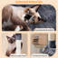136cm H Cat Tree-664204709