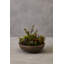 29cm Faux Succulent Plant in Stone Planter