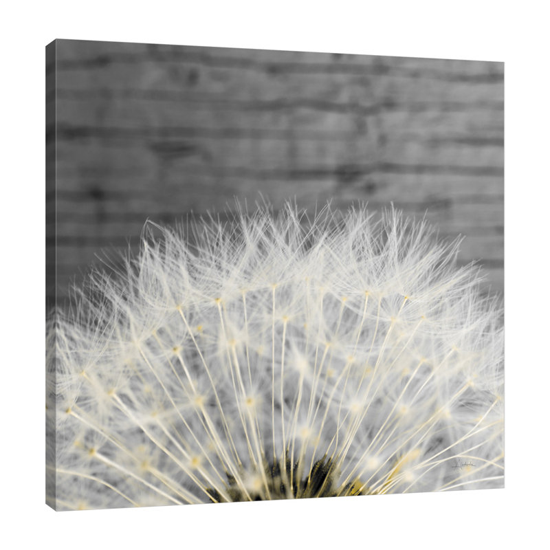 «Delicate Dandelion», toile tendue par Aledanda, H 30 po x l 30 po x P 1,5 po