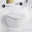 Ensemble de toilette à fixation murale avec plaque de chasse 0,8 / 1,6 GPF St. Tropez-108927942