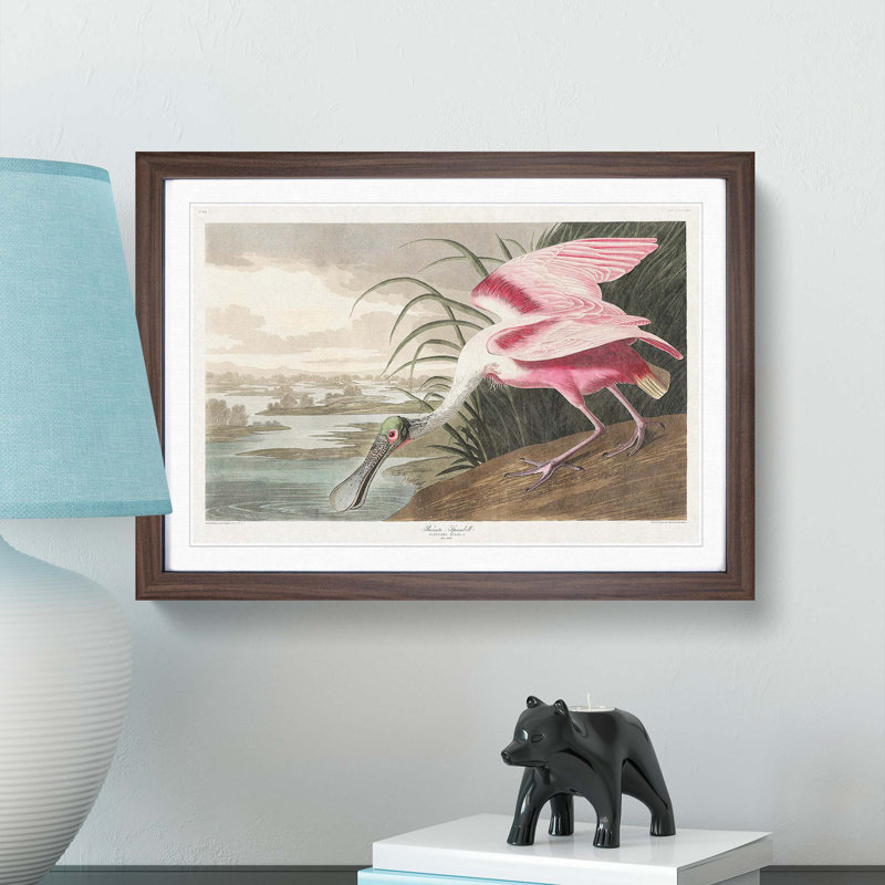 Roseate Spoonbill by John James Audubon - Picture Frame Graphic Art Print, Walnut, 50cm H x 76cm W x 2cm D