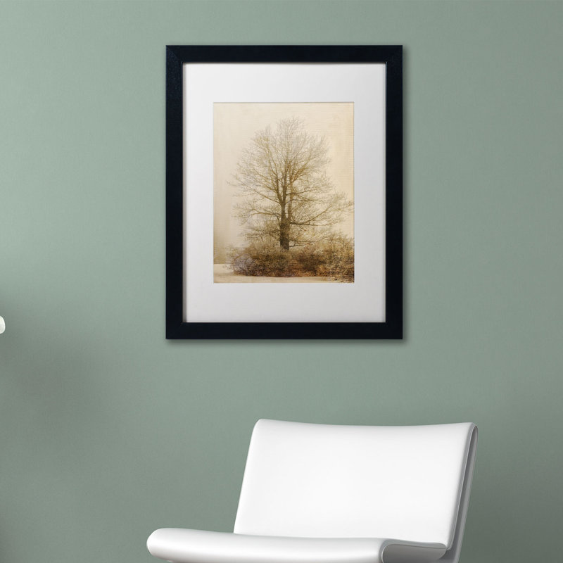 «Tan Tones in the Fog» par Lois Bryan - reproduction de photo sur toile encadrée, H 14 po x l 11 po x P 0,5 po, Cadre brun