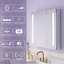 Armoire de salle de bain à miroir encastrée ou à surface pour salle de bain avec tablettes réglables et désembueur-22069094