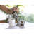Stainless Steel Sugar and Creamer Set