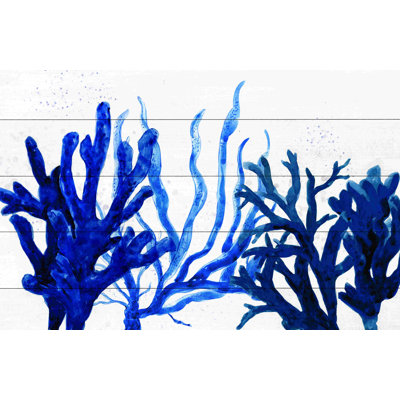 Bleu et corail