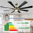 8-Blades with Remote Control and Light Kit Included-1932795952-1932570549