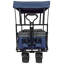 Collapsible Foldable Wagon With Canopy