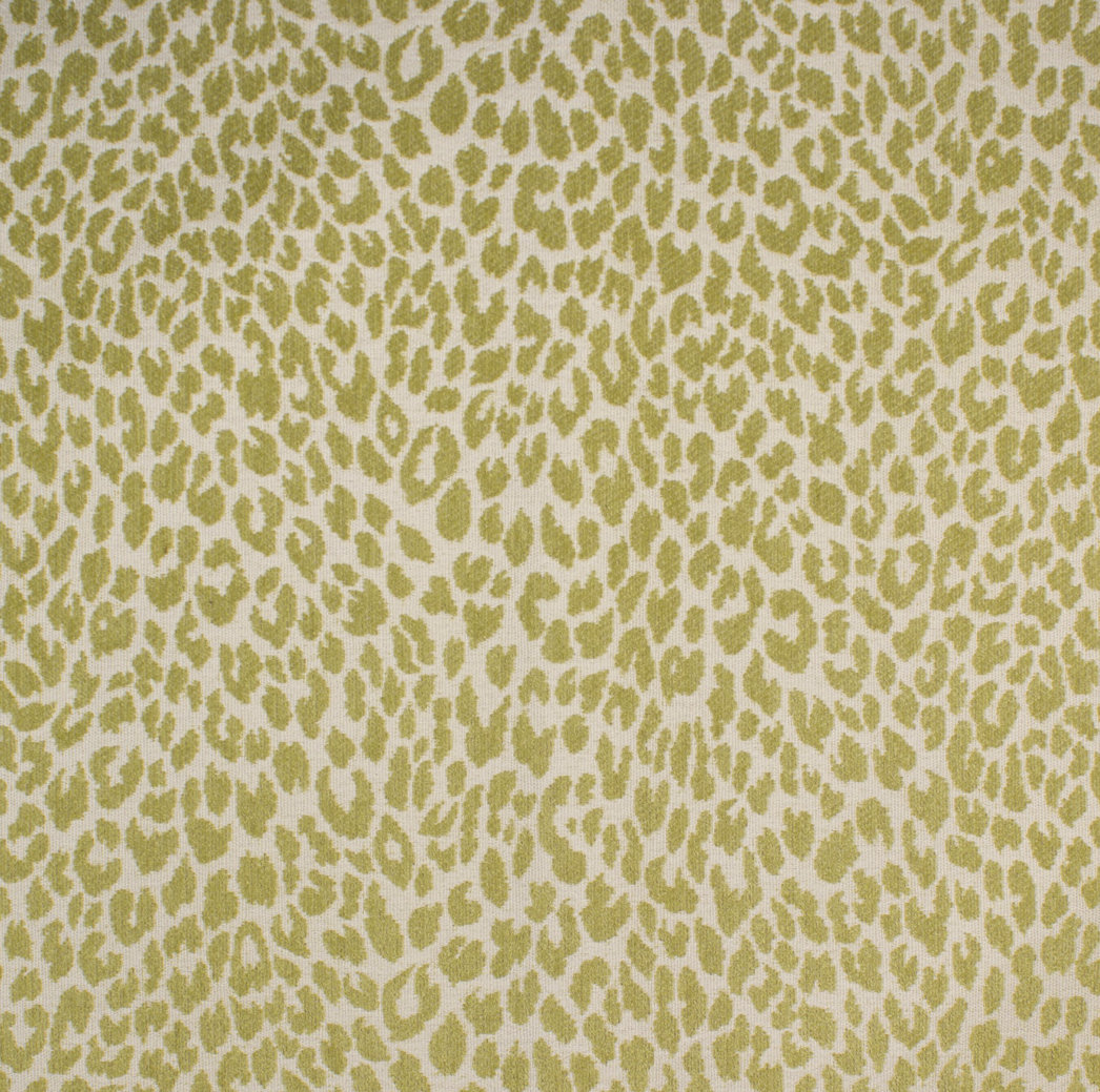 Shenzi Fabric Barrow Fabric 