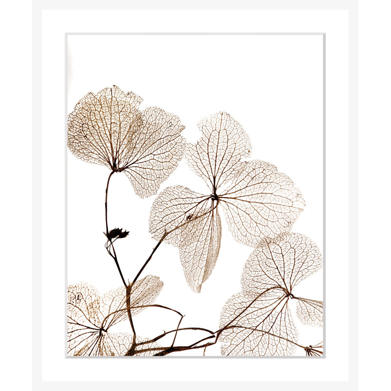 Flowers - Single Picture Frame Print