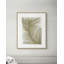 Botanicus Fem 2 Print-1971587468
