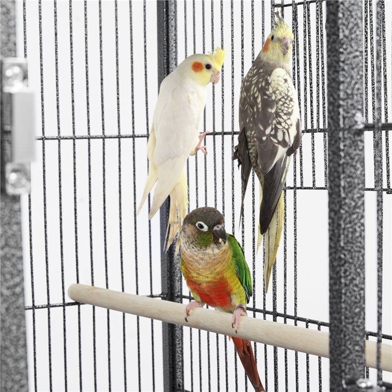52.5cm Iron Flat Top Breeder Bird Cage with Perch, Black