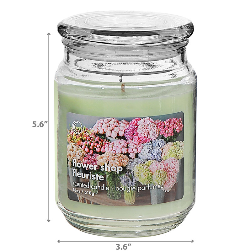 Pot de fleurs 18 oz avec couvercle en verre - ensemble de 2